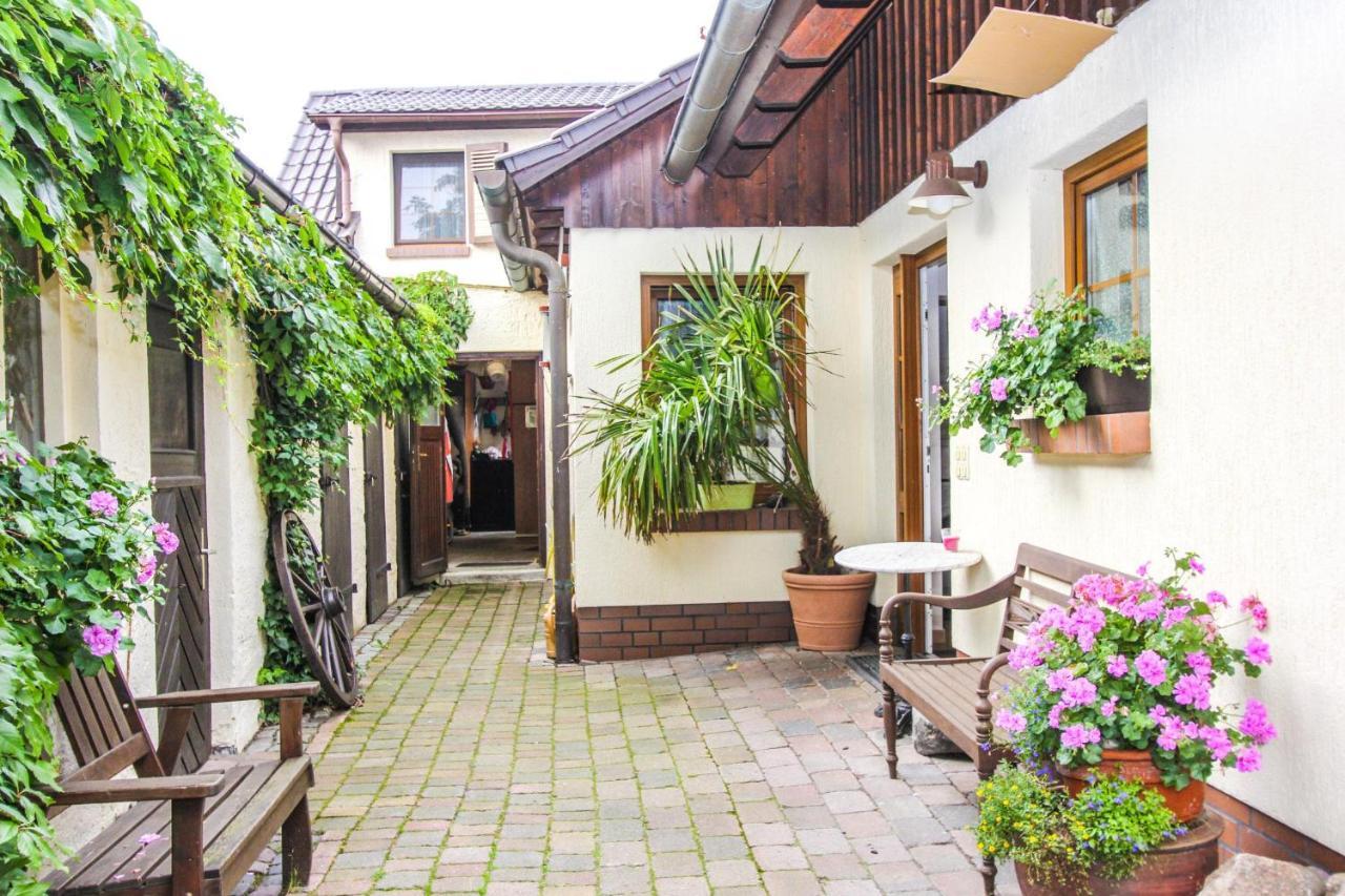 Appartamento Likedeeler 6 Zingst Esterno foto